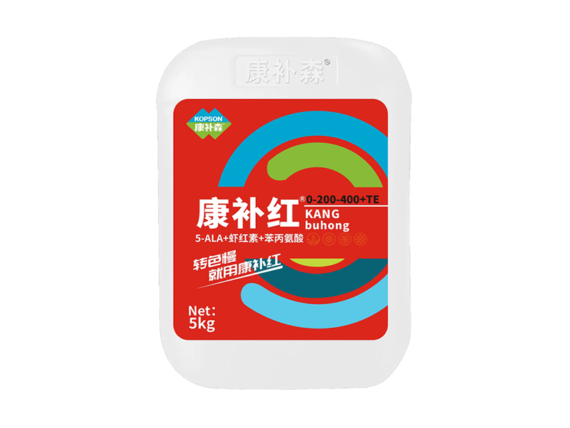 康补红00-200-400【5KG】.png
