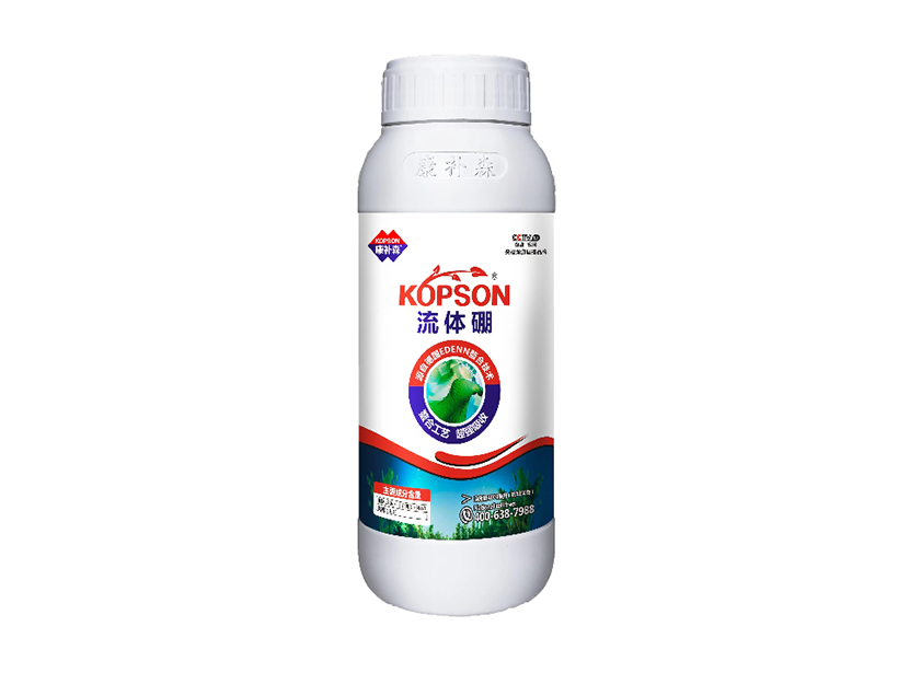 流体硼.png